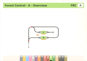 11 Forest Central.png